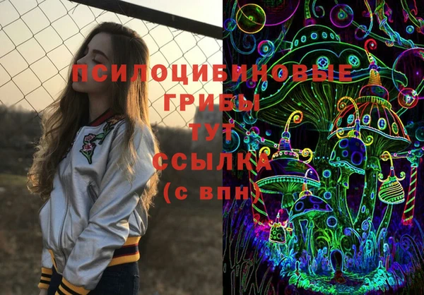 ПСИЛОЦИБИНОВЫЕ ГРИБЫ Вяземский