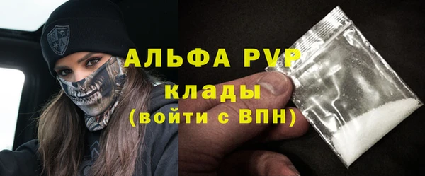ПСИЛОЦИБИНОВЫЕ ГРИБЫ Вяземский