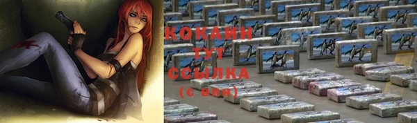 ПСИЛОЦИБИНОВЫЕ ГРИБЫ Вяземский
