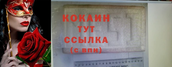 ПСИЛОЦИБИНОВЫЕ ГРИБЫ Вяземский