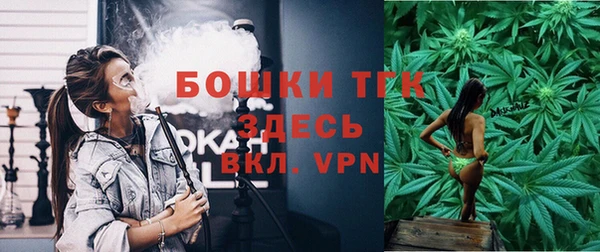 ПСИЛОЦИБИНОВЫЕ ГРИБЫ Вяземский
