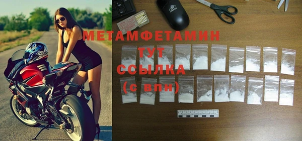 ПСИЛОЦИБИНОВЫЕ ГРИБЫ Вяземский