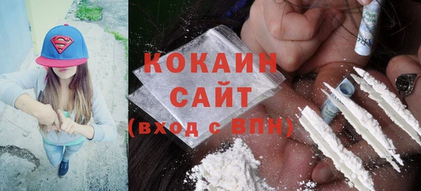 ПСИЛОЦИБИНОВЫЕ ГРИБЫ Вяземский