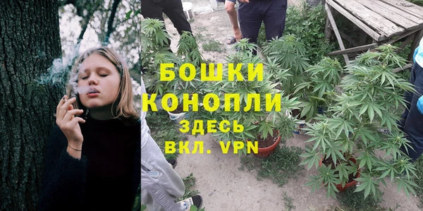 ПСИЛОЦИБИНОВЫЕ ГРИБЫ Вяземский