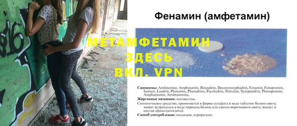 ПСИЛОЦИБИНОВЫЕ ГРИБЫ Вяземский