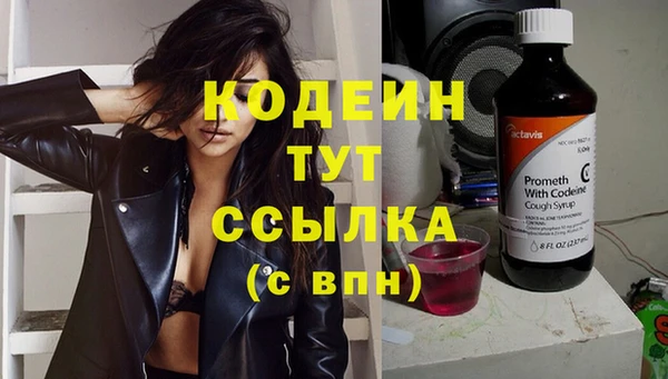 ПСИЛОЦИБИНОВЫЕ ГРИБЫ Вяземский