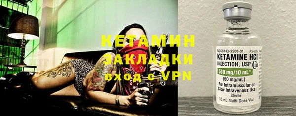 ПСИЛОЦИБИНОВЫЕ ГРИБЫ Вяземский