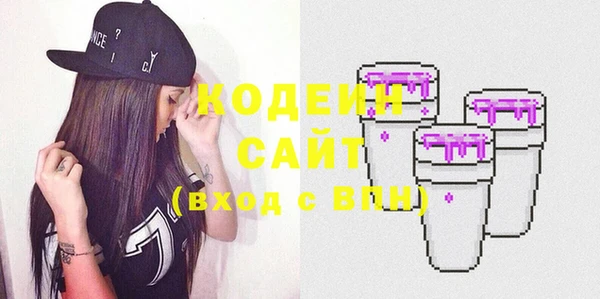 ПСИЛОЦИБИНОВЫЕ ГРИБЫ Вяземский
